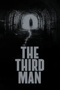 Poster to the movie "The Third Man" #112844