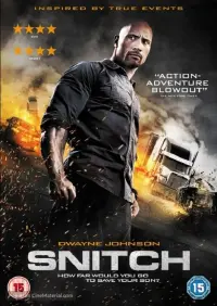 Poster to the movie "Snitch" #121133