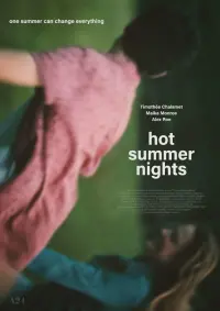 Poster to the movie "Hot Summer Nights" #715544