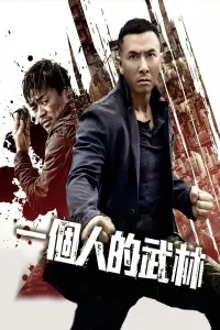 Poster to the movie "Kung Fu Jungle" #458917