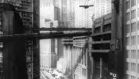 Backdrop to the movie "Metropolis" #177427