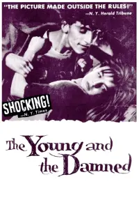 Poster to the movie "The Young and the Damned" #157315