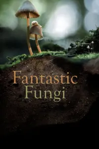 Poster to the movie "Fantastic Fungi" #364912