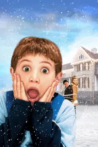 Poster to the movie "Home Alone 4" #545002