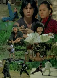 Poster to the movie "Drunken Master" #222103