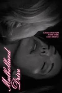 Poster to the movie "Mulholland Drive" #454035