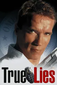 Poster to the movie "True Lies" #242850