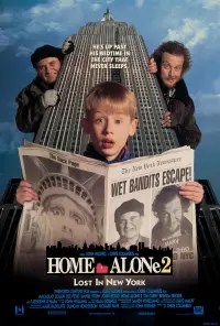 Poster to the movie "Home Alone 2: Lost in New York" #163475