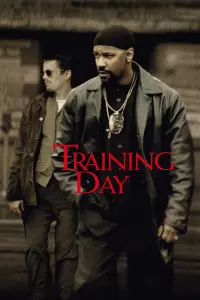 Poster to the movie "Training Day" #211501