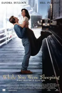 Poster to the movie "While You Were Sleeping" #247274