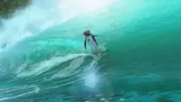 Backdrop to the movie "Surf