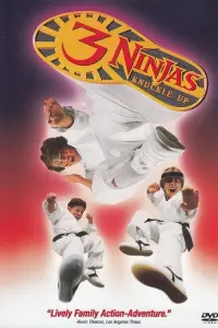 Poster to the movie "3 Ninjas Knuckle Up" #341896