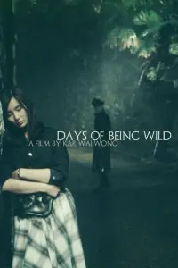 Poster to the movie "Days of Being Wild" #224136