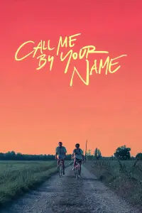 Poster to the movie "Call Me by Your Name" #37250