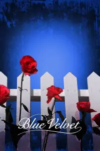 Poster to the movie "Blue Velvet" #204351