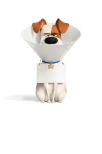 Poster to the movie "The Secret Life of Pets 2" #250195