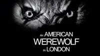 Backdrop to the movie "An American Werewolf in London" #50290