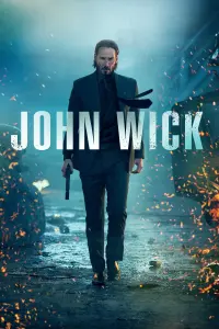 Poster to the movie "John Wick" #51528