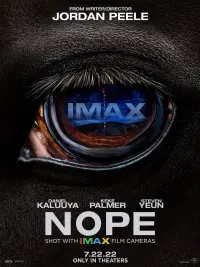 Poster to the movie "Nope" #44783