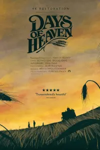 Poster to the movie "Days of Heaven" #211807