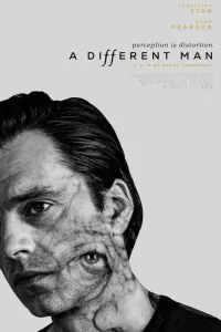 Poster to the movie "A Different Man" #667022