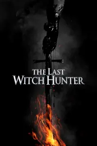 Poster to the movie "The Last Witch Hunter" #49233