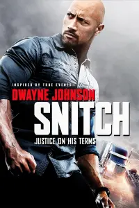 Poster to the movie "Snitch" #121130