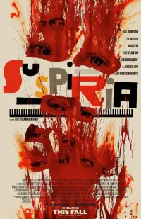 Poster to the movie "Suspiria" #105049