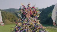 Backdrop to the movie "Midsommar" #235142