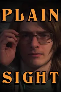 Poster to the movie "Plain Sight" #641823