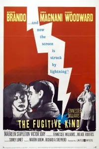 Poster to the movie "The Fugitive Kind" #159480