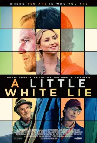 Poster to the movie "A Little White Lie" #149615