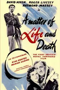 Poster to the movie "A Matter of Life and Death" #201245