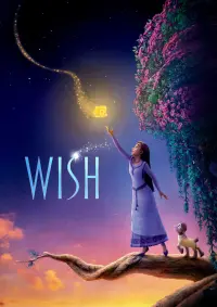 Poster to the movie "Wish" #324