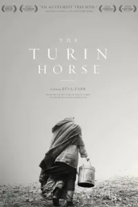 Poster to the movie "The Turin Horse" #201328