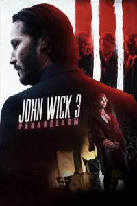 Poster to the movie "John Wick: Chapter 3 - Parabellum" #19431