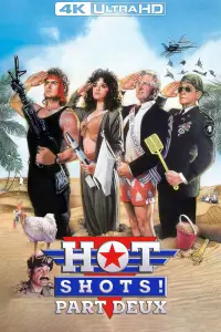 Poster to the movie "Hot Shots! Part Deux" #82220