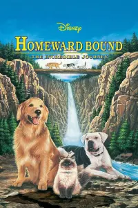 Poster to the movie "Homeward Bound: The Incredible Journey" #251068