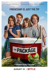 Poster to the movie "The Package" #627057