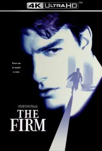 Poster to the movie "The Firm" #91330