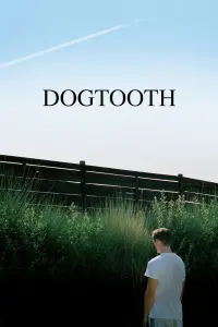 Poster to the movie "Dogtooth" #96324