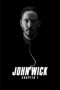 Poster to the movie "John Wick" #51575