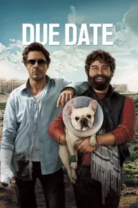 Poster to the movie "Due Date" #85143