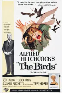 Poster to the movie "The Birds" #210004