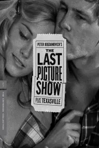 Poster to the movie "The Last Picture Show" #204239