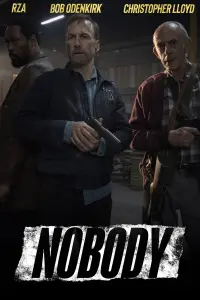 Poster to the movie "Nobody" #35861