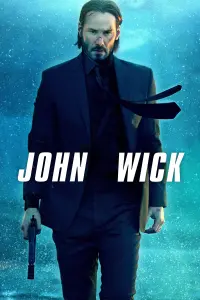 Poster to the movie "John Wick" #51569