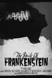 Poster to the movie "The Bride of Frankenstein" #114146