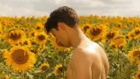 Backdrop to the movie "Sunflower" #476392