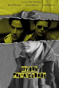 Poster to the movie "My Own Private Idaho" #570945